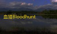 血猎Bloodhunt白狼显血显距透视绘制修改器 V8.20